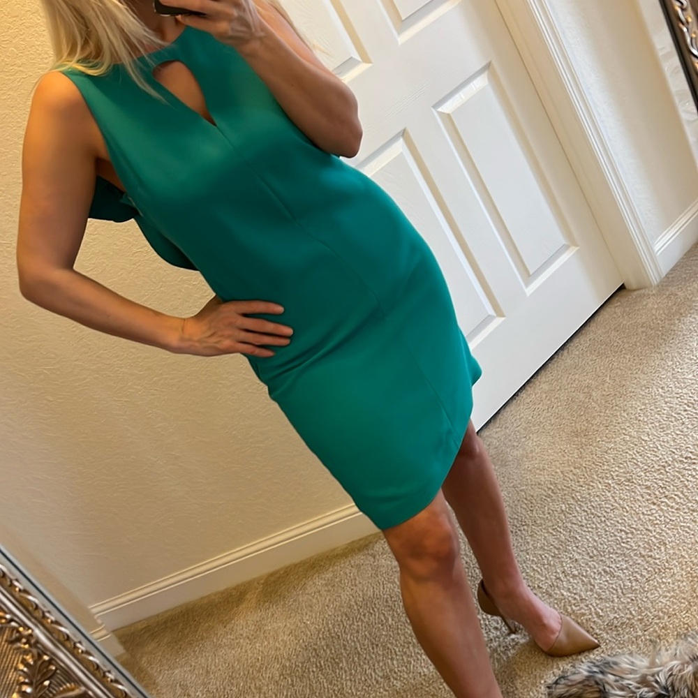 🪷RACHEL RACHEL ROY 🪷 beautiful Atlantis dress with golden zipper and open back . - Picture 9 of 16
